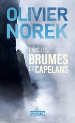 dans les brumes de capelans, olivier norek, capitaine coste, policier français