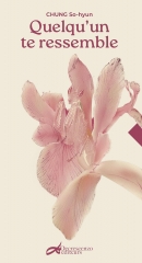 quelqu'un te ressemble, Chung So-hyun, decrescenzo, nouvelles, nouvelles coréennes, corée du sud, littérature coréenne, passion corée, drama, reflexion of you